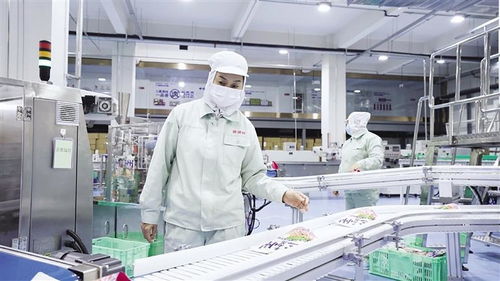 兰州牛大版 超级工厂 长啥样凤凰网甘肃 凤凰网